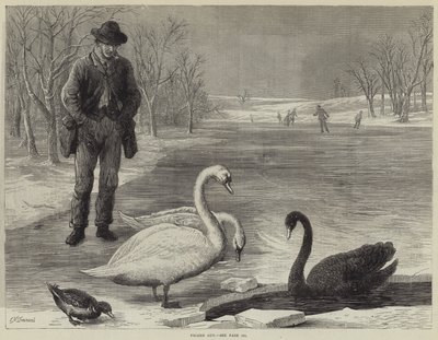 Gelé dehors - Ebenezer Newman Downard